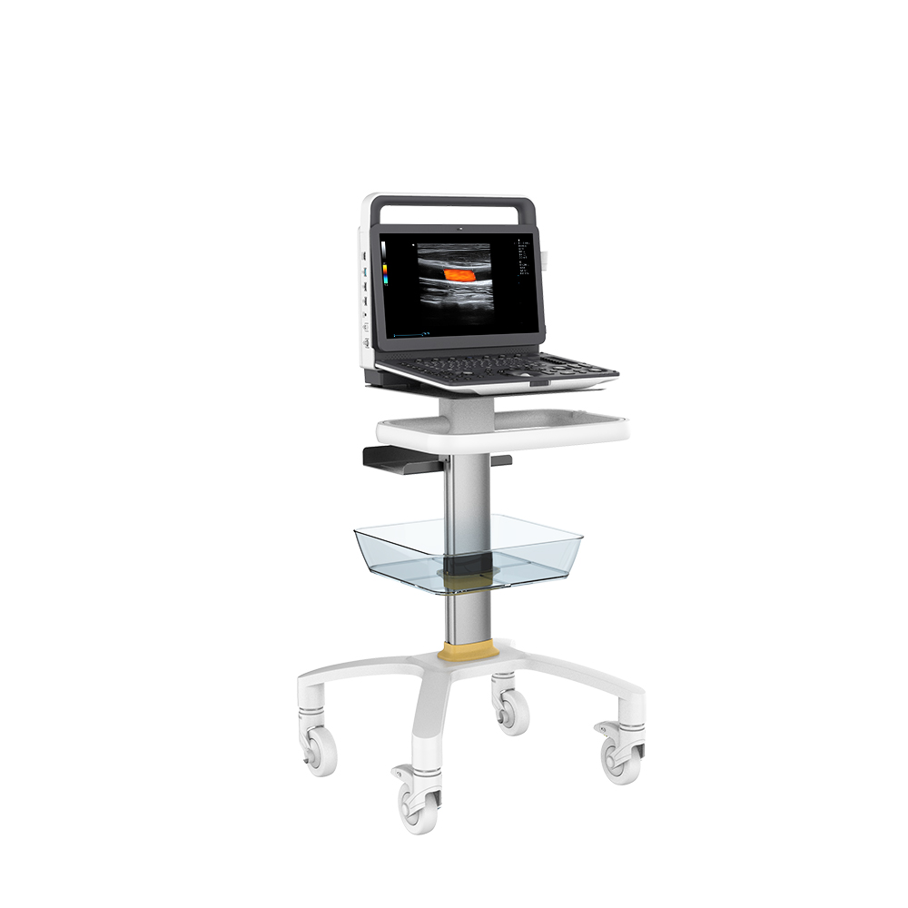 Medical ultrasound instruments cardiac digital color doppler 3d 4d ultrasound machine portable