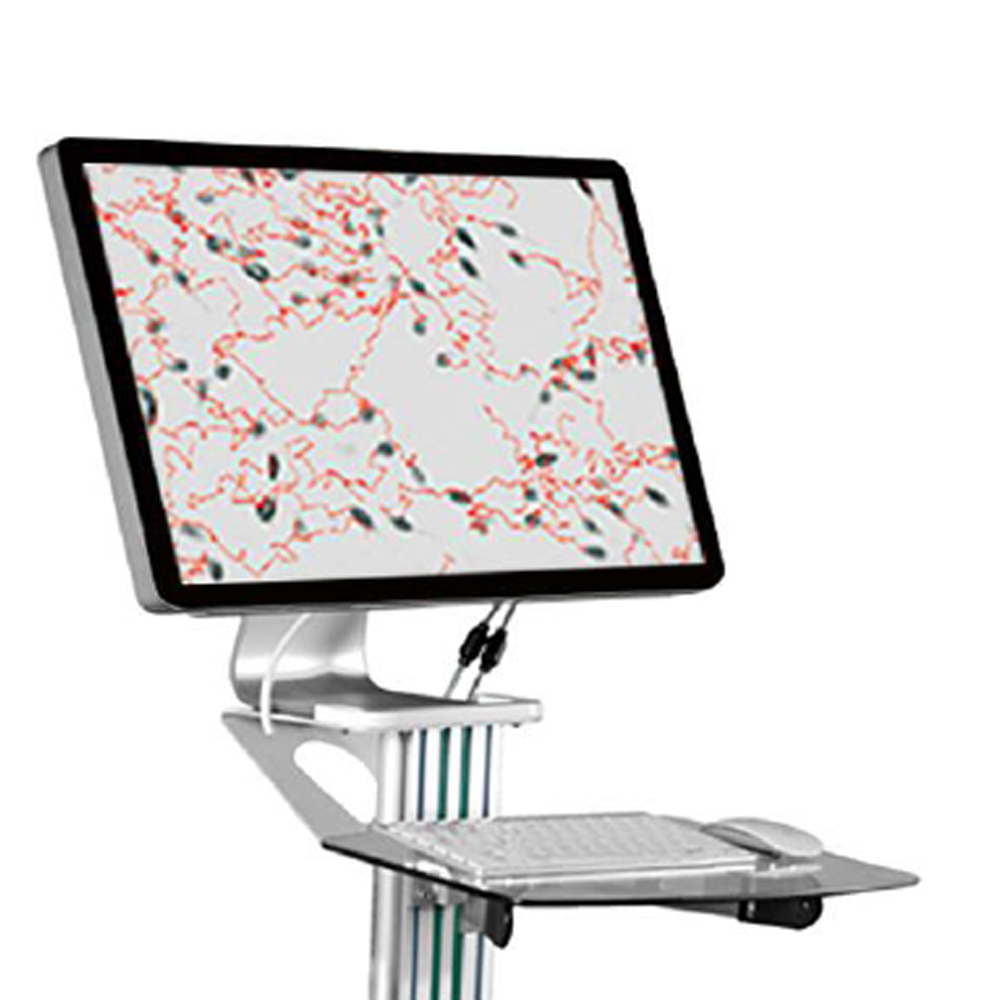 High Quality Lab Automatic Sperm Analyzer Professional Sperm Densitometer for Dog Cat Horse Cow Animal Trolley