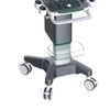 4D Medical Diagnostic System Ultrasound Equipment Color Display Waterproof Electrical Device with Metal Material
