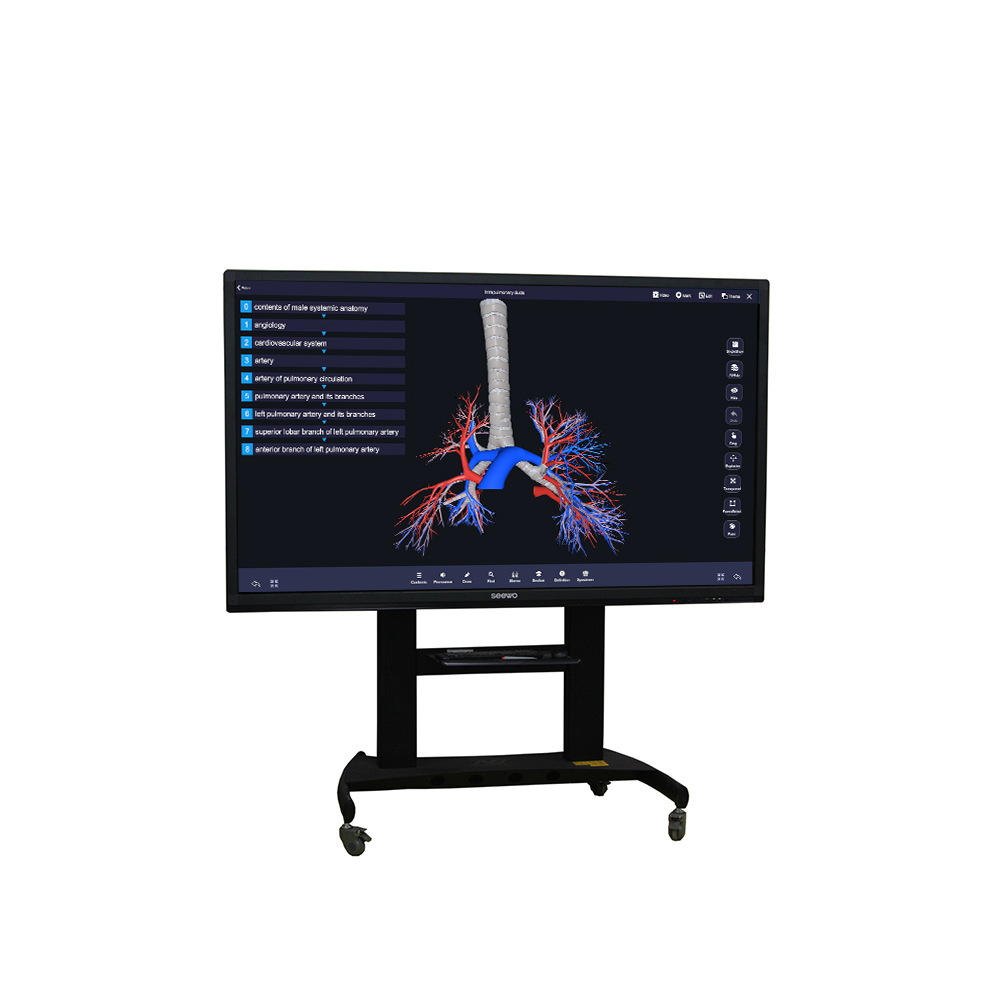 Touch Screen Human Virtual 3d Anatomy Dissection Table Anatomy Table University