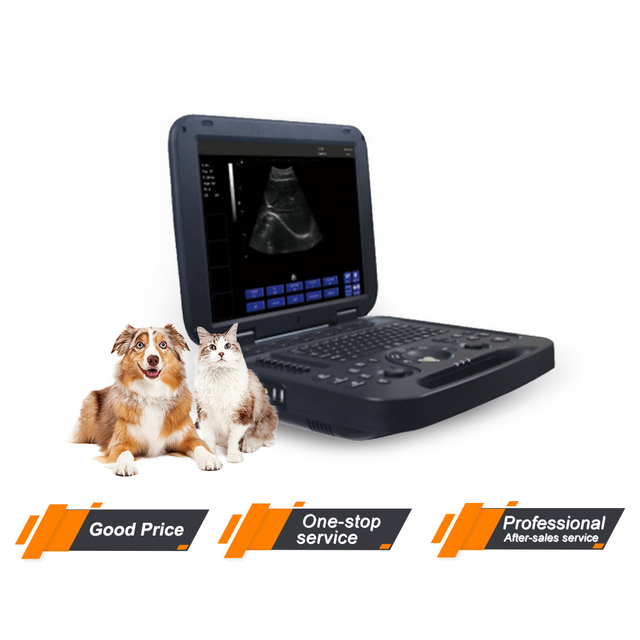 Cheap Veterinary Ultrasonic Machine Vet Portable Ultrasound Pregnancy Scanning Hand Held Ultrasound For Animal