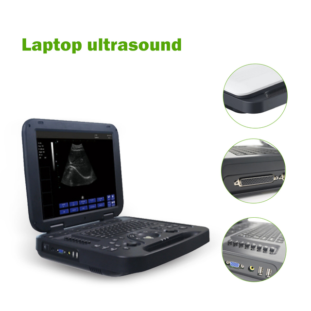 Cheap Veterinary Ultrasonic Machine Vet Portable Ultrasound Pregnancy Scanning Hand Held Ultrasound For Animal