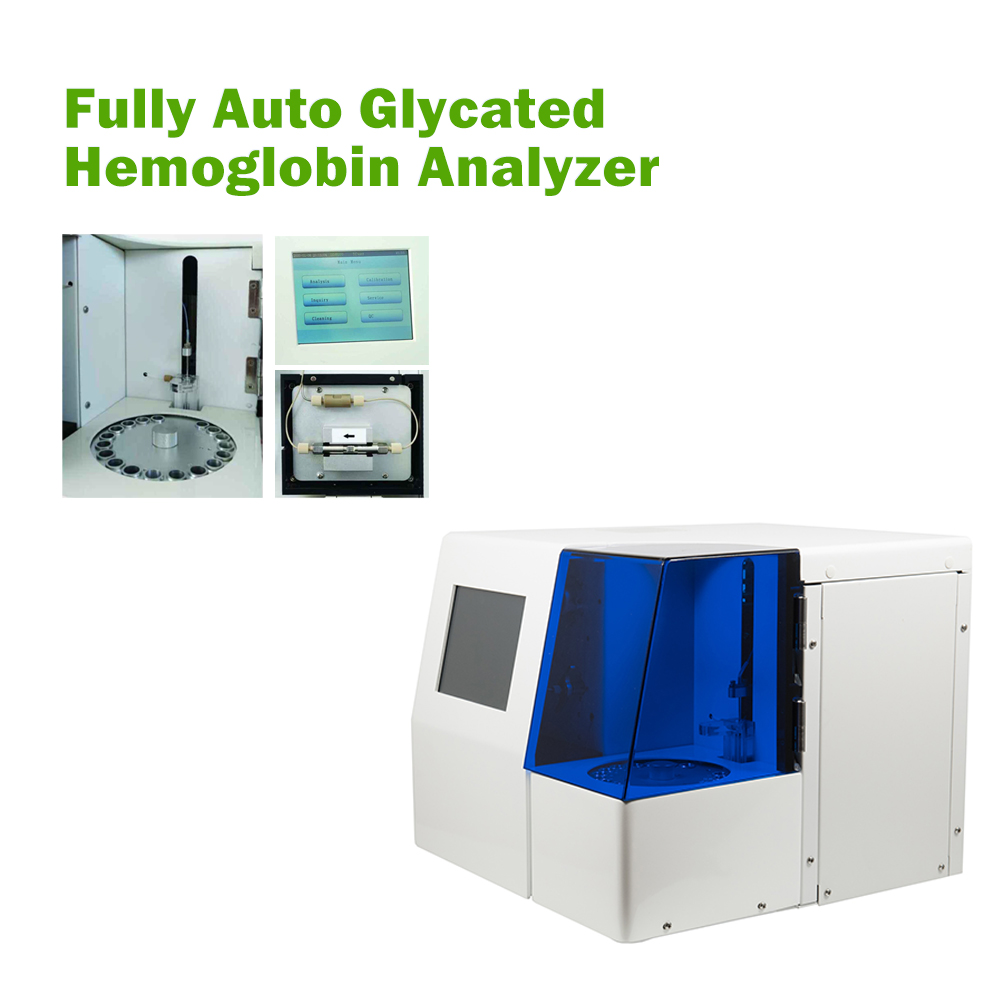 Automated Glycated Hemoglobin Analyzer HPLC H9 with Hb Variant Detection Hemoglobin A1c Analyzer