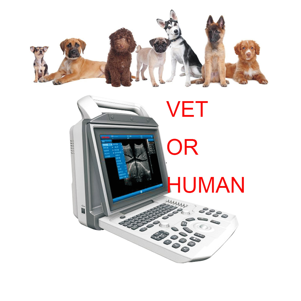 Cheapest Medical Full Digital Vet Portable B/w 2D 3D Black And White Ultrasound Scanner Veterinary B-ultrasound use