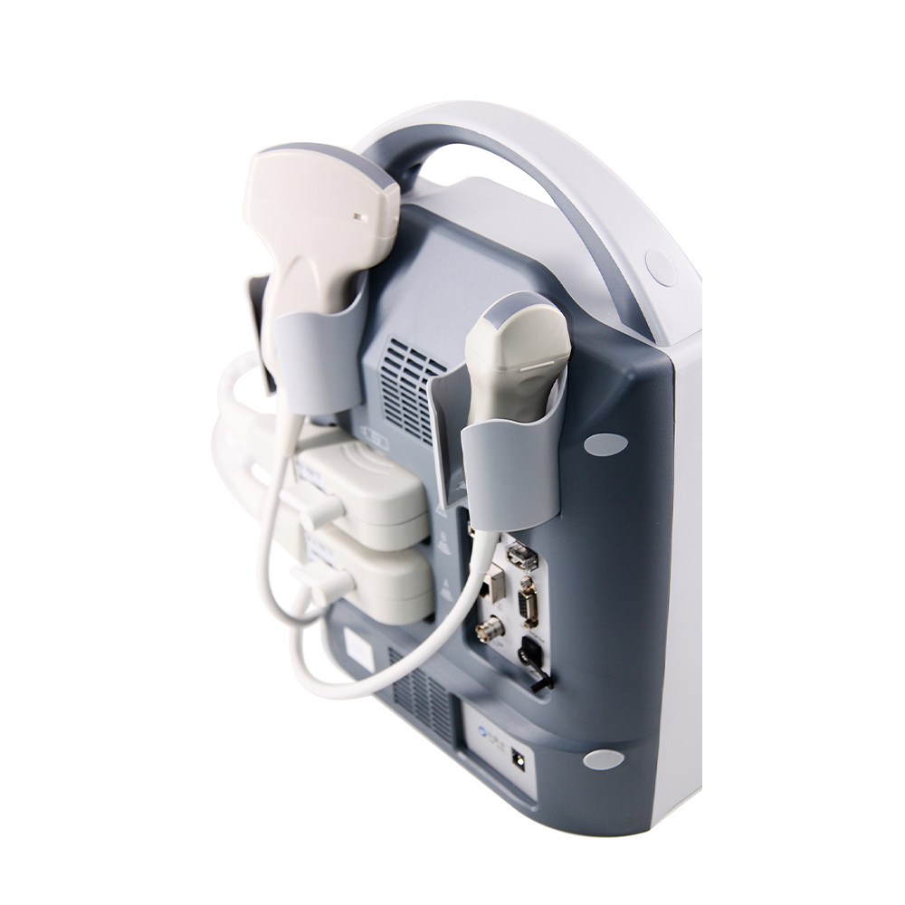 New Product Modern Classic Full Digital B Mode Ultrasonic Diagnostic Instruments for VET Use