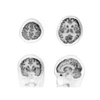 4 in 1 Veterinary PET-CT CT Scan Machine Computed Tomography CBCT Dynamic DR CT Scan Machine