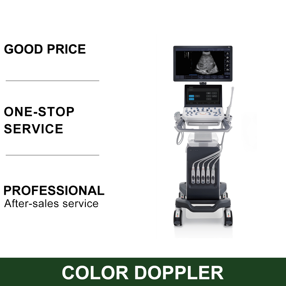 Sonoscape P9 High-Tech Electric Medical Trolley Convex 4D 3D Color Doppler Ultrasound Scanner Innovative Metal Diagnostic