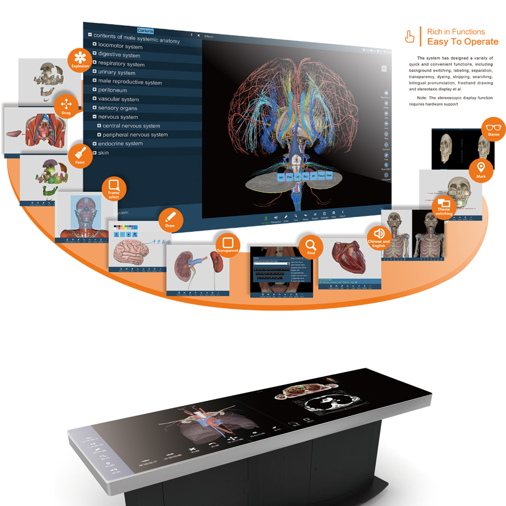 Digital Human Anatomy System Anatomage 3D Body Virtual Autopsy Table for School