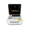 Full-digital Color Doppler Medical Ecografo Veterinaria Instrument Portable Veterinary Ultrasound Scanner Vet Ultrasound Machine
