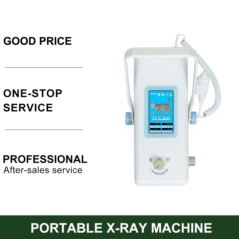 Factory 5KW 100mA Digital Portable X-ray Machine Digital X-ray System
