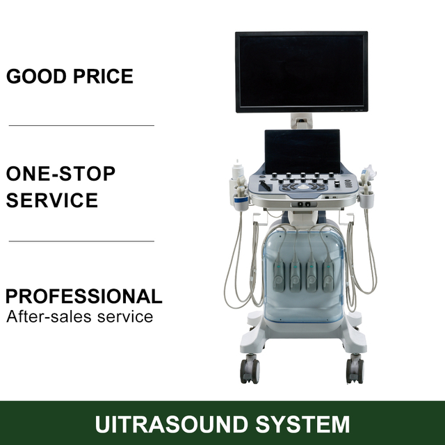 3D 4D Medical Scanner Ultrasonic Electric Medical Ultrasound Scanner Echocardiography Ultrasound Color Doppler