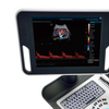 DC-26 Digital Ultrasound Therapy Machine with Convex Probe Electric Color Doppler Metal Construction