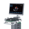 4D Medical Diagnostic System Ultrasound Equipment Color Display Waterproof Electrical Device with Metal Material