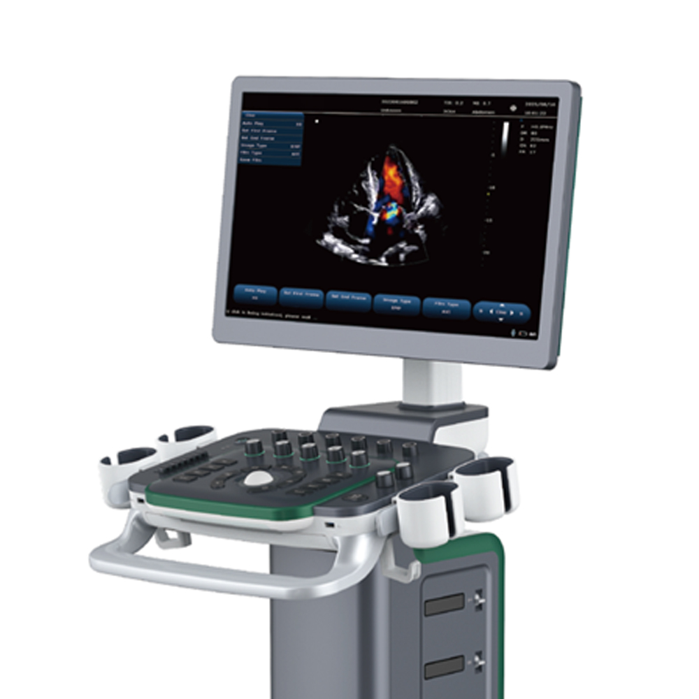 4D Medical Diagnostic System Ultrasound Equipment Color Display Waterproof Electrical Device with Metal Material