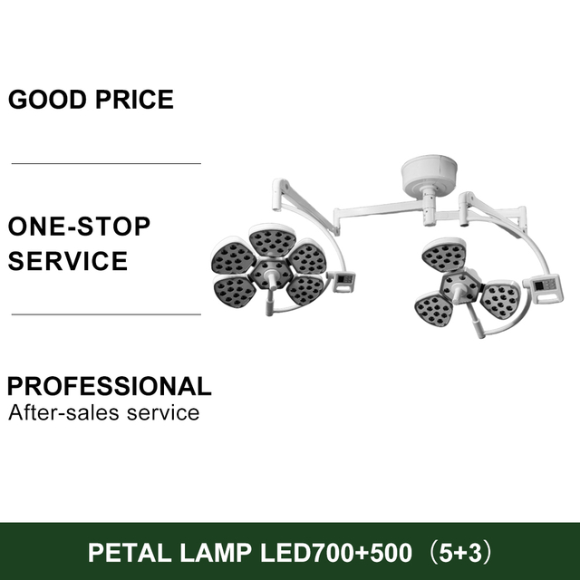 Electric Medical Petal LED Operating Lamp Surgical Double Dome Theatre Operating Light Ceiling Mounted Metal Source