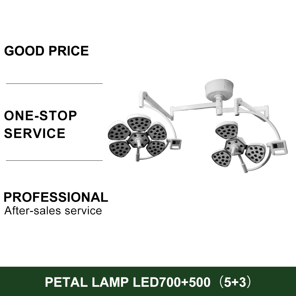 Electric Medical Petal LED Operating Lamp Surgical Double Dome Theatre Operating Light Ceiling Mounted Metal Source