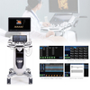 Hot Sale Medical High Resolution 3D/4D 19 Inch LCD Monitor Color Doppler Ultrasound Diagnostic System