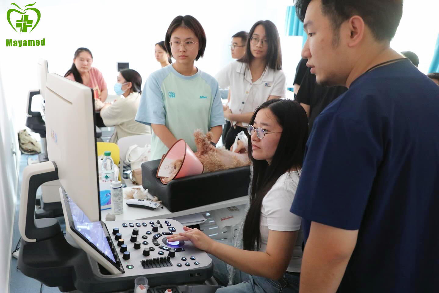 MAYA Conducts Free Ultrasound Examinations of Animals Around The World