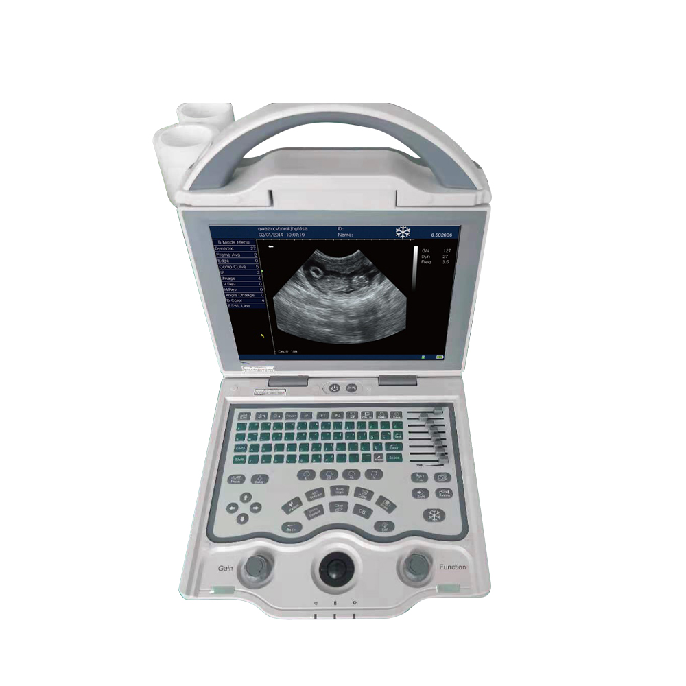 New Product Modern Classic Full Digital B Mode Ultrasonic Diagnostic Instruments for VET Use