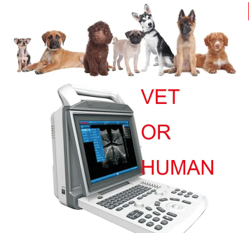 What Is The Effective Life of An Ultrasound Machine?