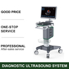 4D Medical Diagnostic System Ultrasound Equipment Color Display Waterproof Electrical Device with Metal Material