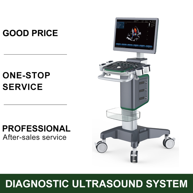 4D Medical Diagnostic System Ultrasound Equipment Color Display Waterproof Electrical Device with Metal Material