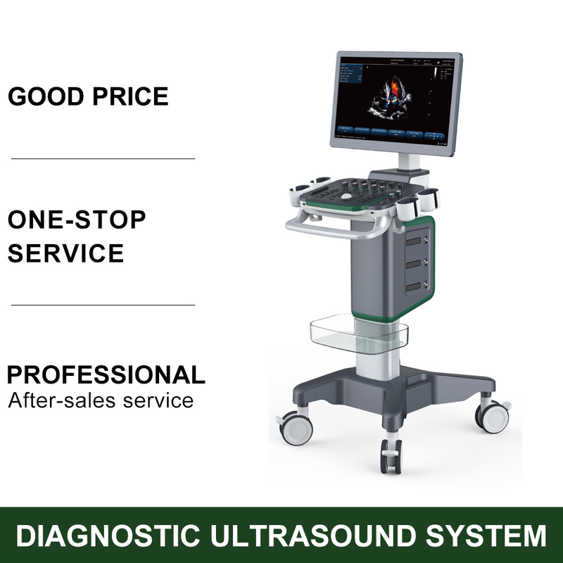 4D Medical Diagnostic System Ultrasound Equipment Color Display Waterproof Electrical Device with Metal Material