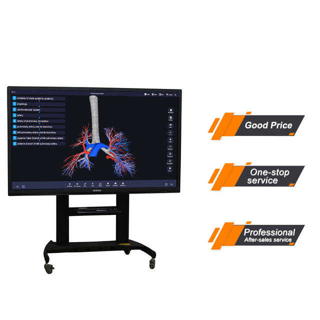 Touch Screen Human Virtual 3d Anatomy Dissection Table Anatomy Table University