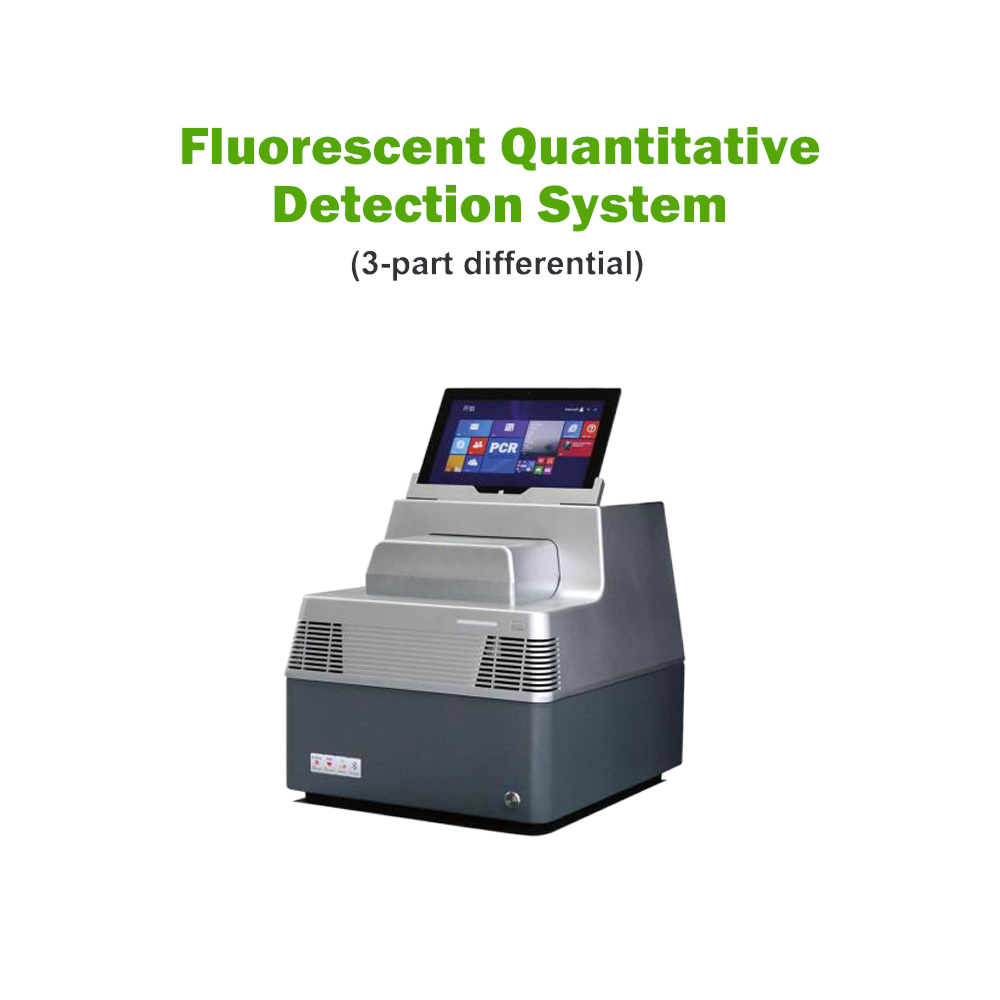 China Fluorescent Quantitative Detection System Pcr