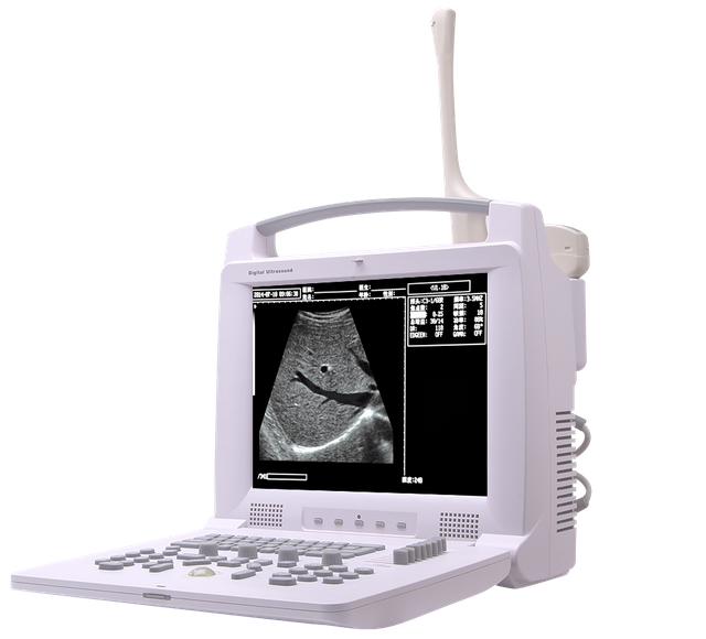 Full Digital Ultrasonic Diagnostic System Black And White Ultrasound Scan Machine Price For Human And Vet