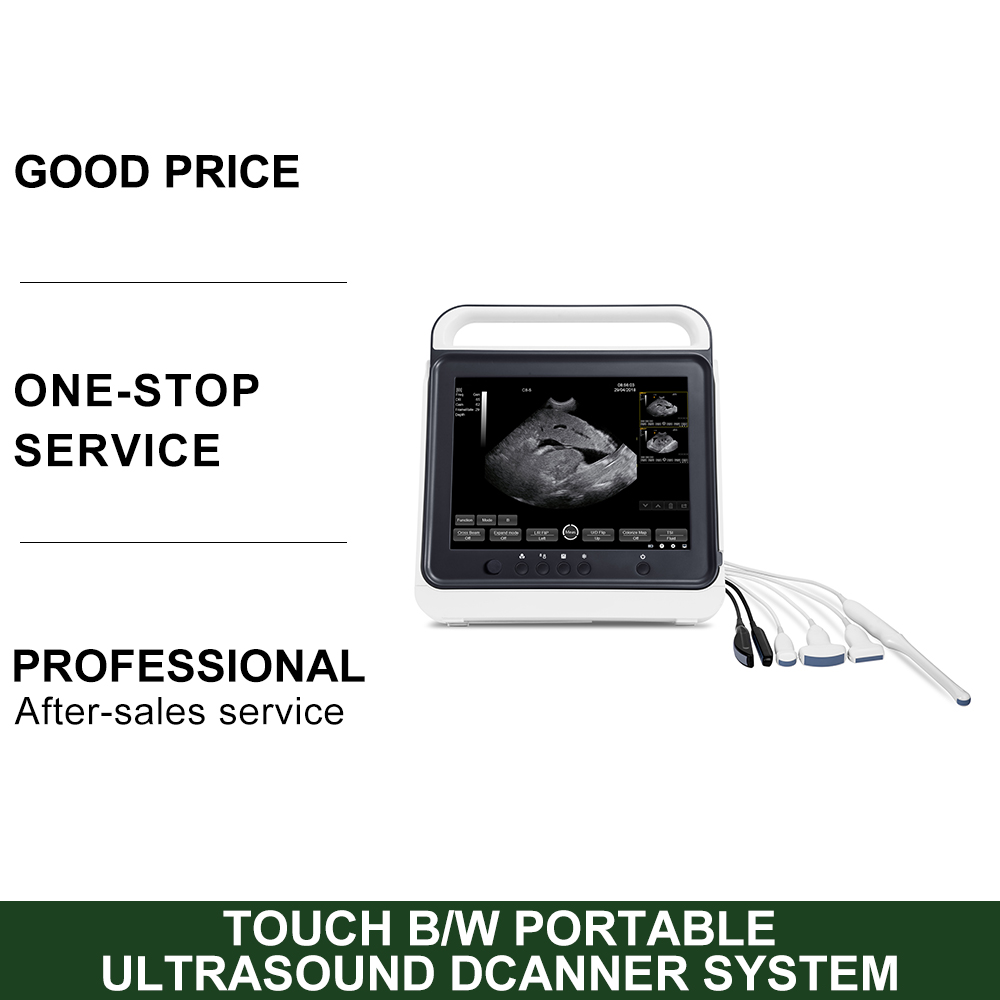 Portable Touch B/W Portable Veterinary Use Ultrasound Scanner System with Convex Probe