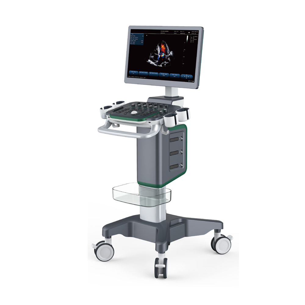 4D Medical Diagnostic System Ultrasound Equipment Color Display Waterproof Electrical Device with Metal Material