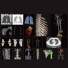 Vet Hospital 16 32 64 128 Slice Computed Tomography System Pet Hospital Use Animal Ct Scan Machine