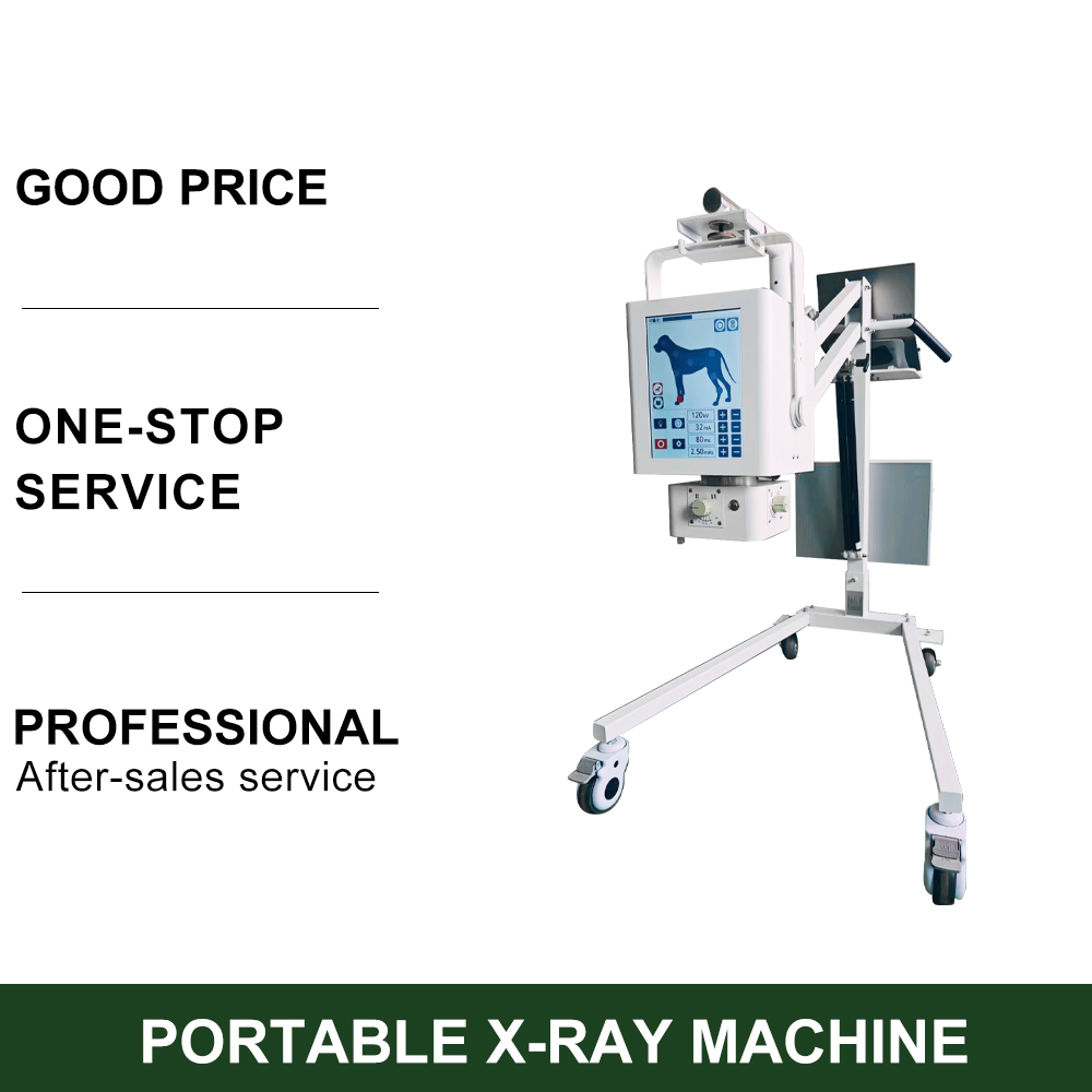 Handheld Portable Digital Xray Machine Hand Switch Portable Xray Machine Human X-ray