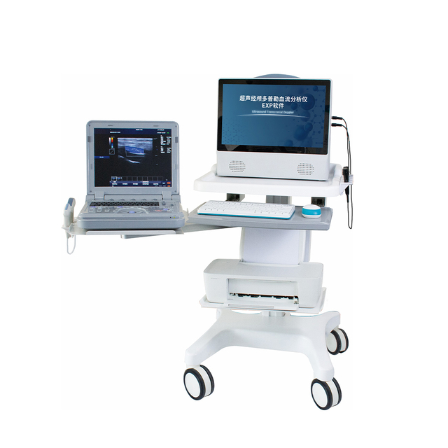 TCD Convex Probe Transcranial Doppler System Electric Medical Ultrasound Instrument Made of Metal