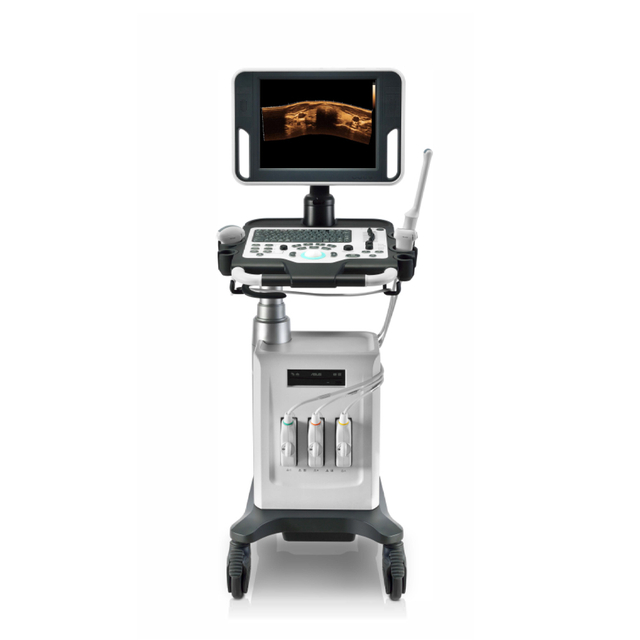DC-26 Digital Ultrasound Therapy Machine with Convex Probe Electric Color Doppler Metal Construction