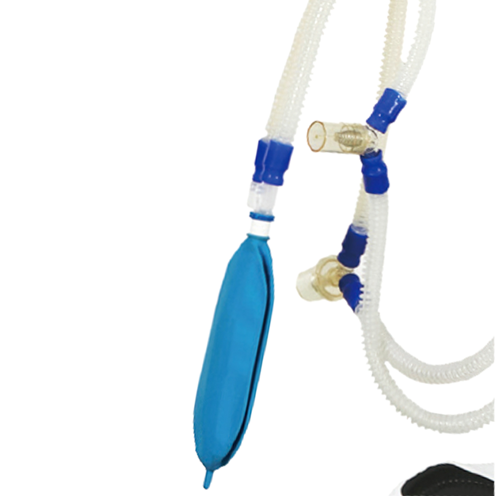ICU Transport Ventilator with High Flow Oxygen Therapy Electric Power Source Emergency Use Breathing Machine