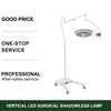 Vertical LED Surgical Shadowless Lamp for Plastic Surgery Metal Aesthetics with Electric Power Source