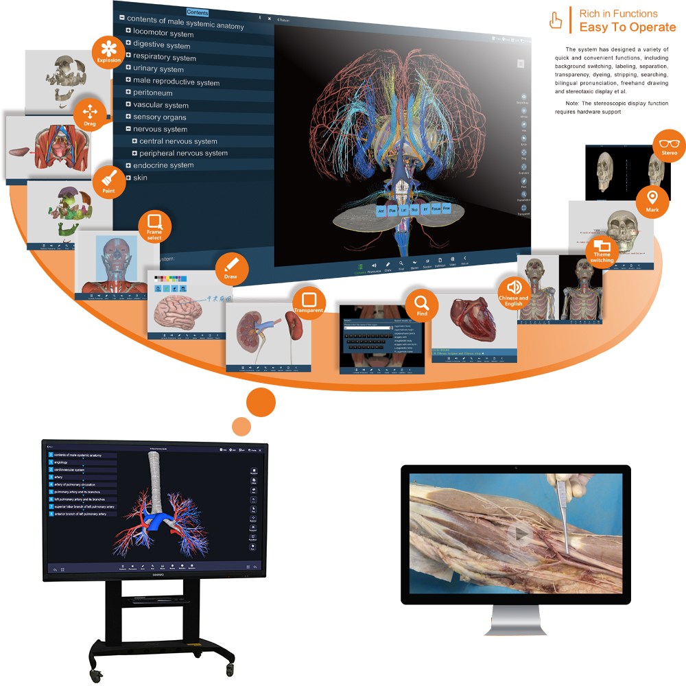 Touch Screen Human Virtual 3d Anatomy Dissection Table Anatomy Table University