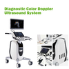 Hot Sale Medical High Resolution 3D/4D 19 Inch LCD Monitor Color Doppler Ultrasound Diagnostic System