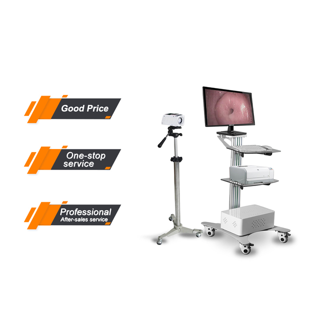 MAYAMED MY-F004B Wholesale Colposcope Price Digital Electronic Colposcope Colposcopy Machine Colposcope for Gynaecology