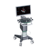 4D Medical Diagnostic System Ultrasound Equipment Color Display Waterproof Electrical Device with Metal Material