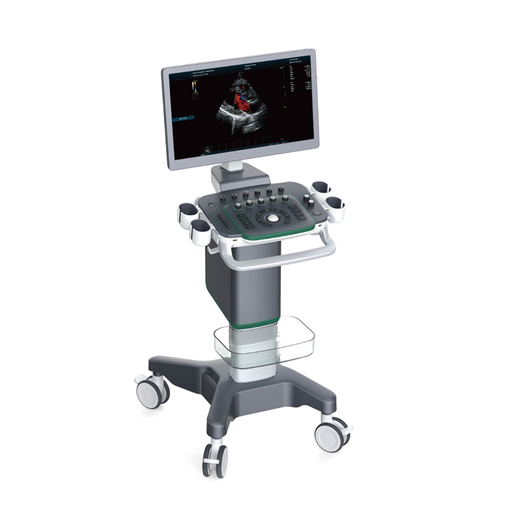 4D Medical Diagnostic System Ultrasound Equipment Color Display Waterproof Electrical Device with Metal Material