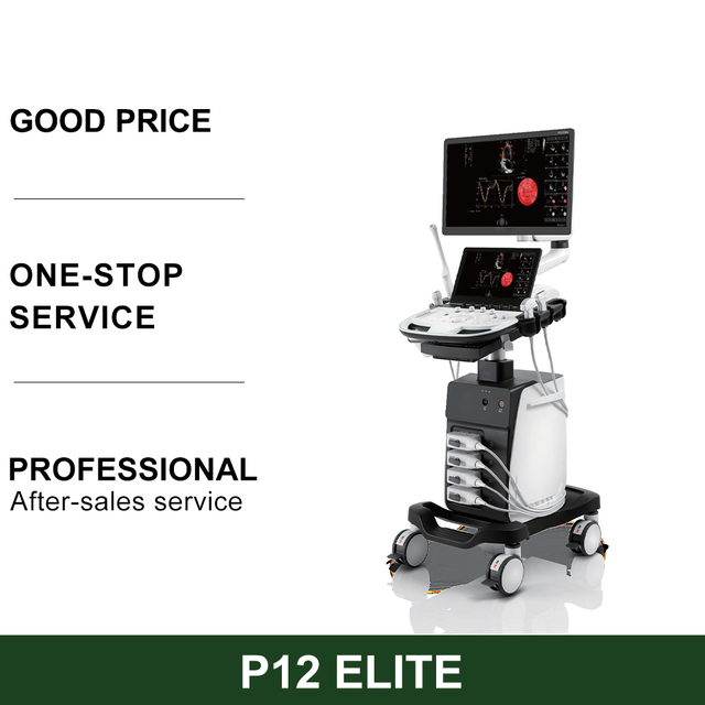 SONOSCAPE P12 Elite Electric Ultrasonic Transducer Convex Biopsy Guide Hospital Equipment