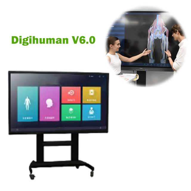 Touch Screen Human Virtual 3d Anatomy Dissection Table Anatomy Table University