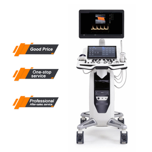 Hot Sale Medical High Resolution 3D/4D 19 Inch LCD Monitor Color Doppler Ultrasound Diagnostic System