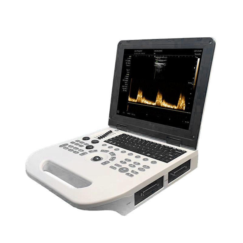 Full-digital Color Doppler Medical Ecografo Veterinaria Instrument Portable Veterinary Ultrasound Scanner Vet Ultrasound Machine
