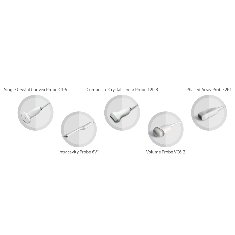 SONOSCAPE P12 Elite Electric Ultrasonic Transducer Convex Biopsy Guide Hospital Equipment